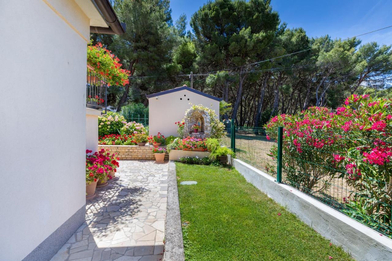 Apartments Hortensia Pula Exterior photo